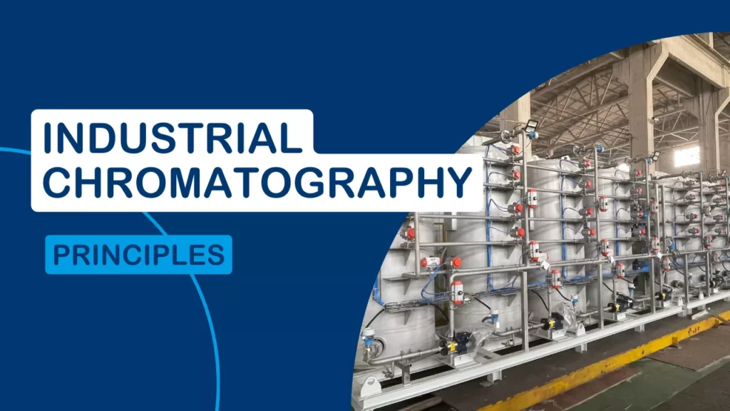 Industrial chromatography principles video